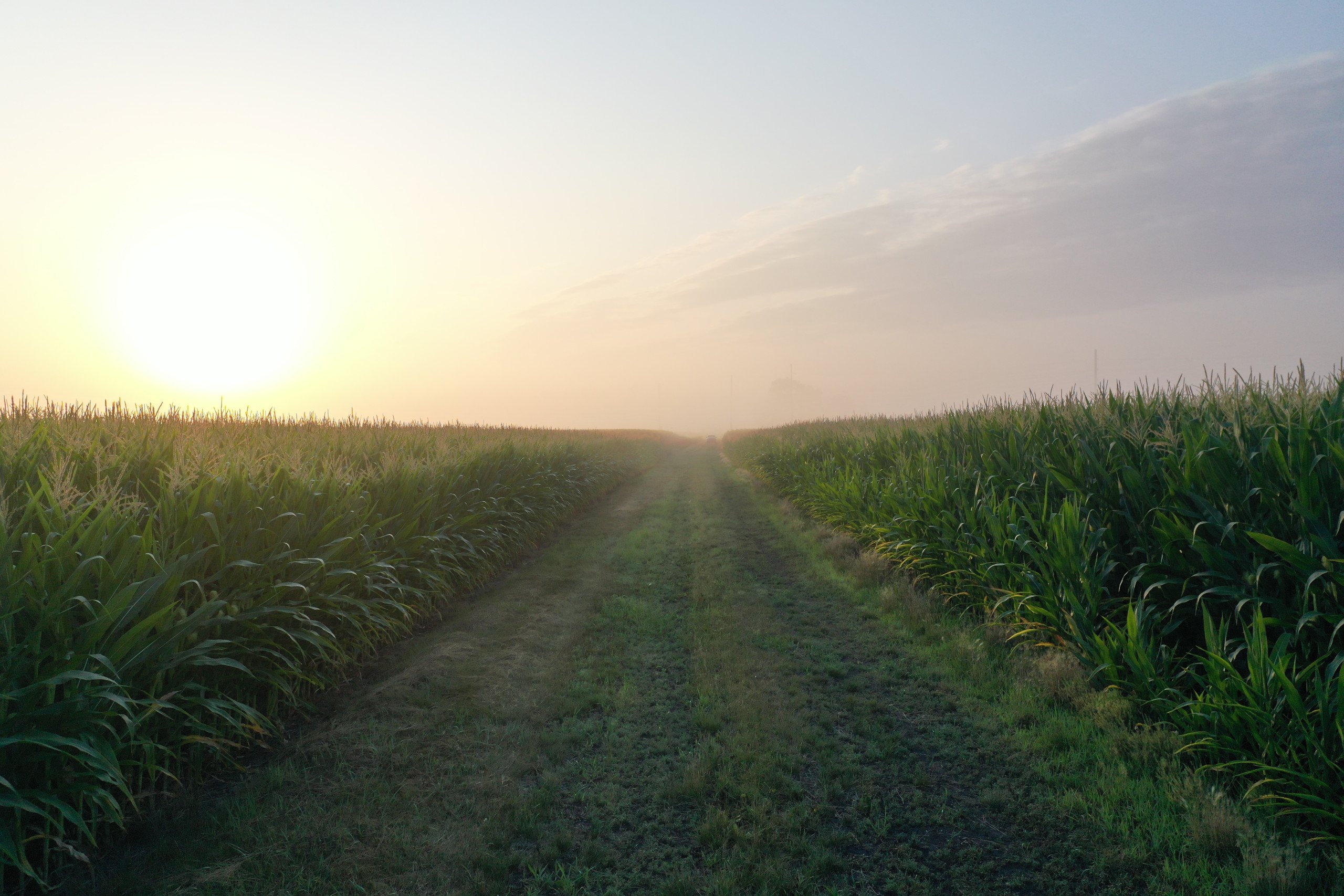 FarmWorth™