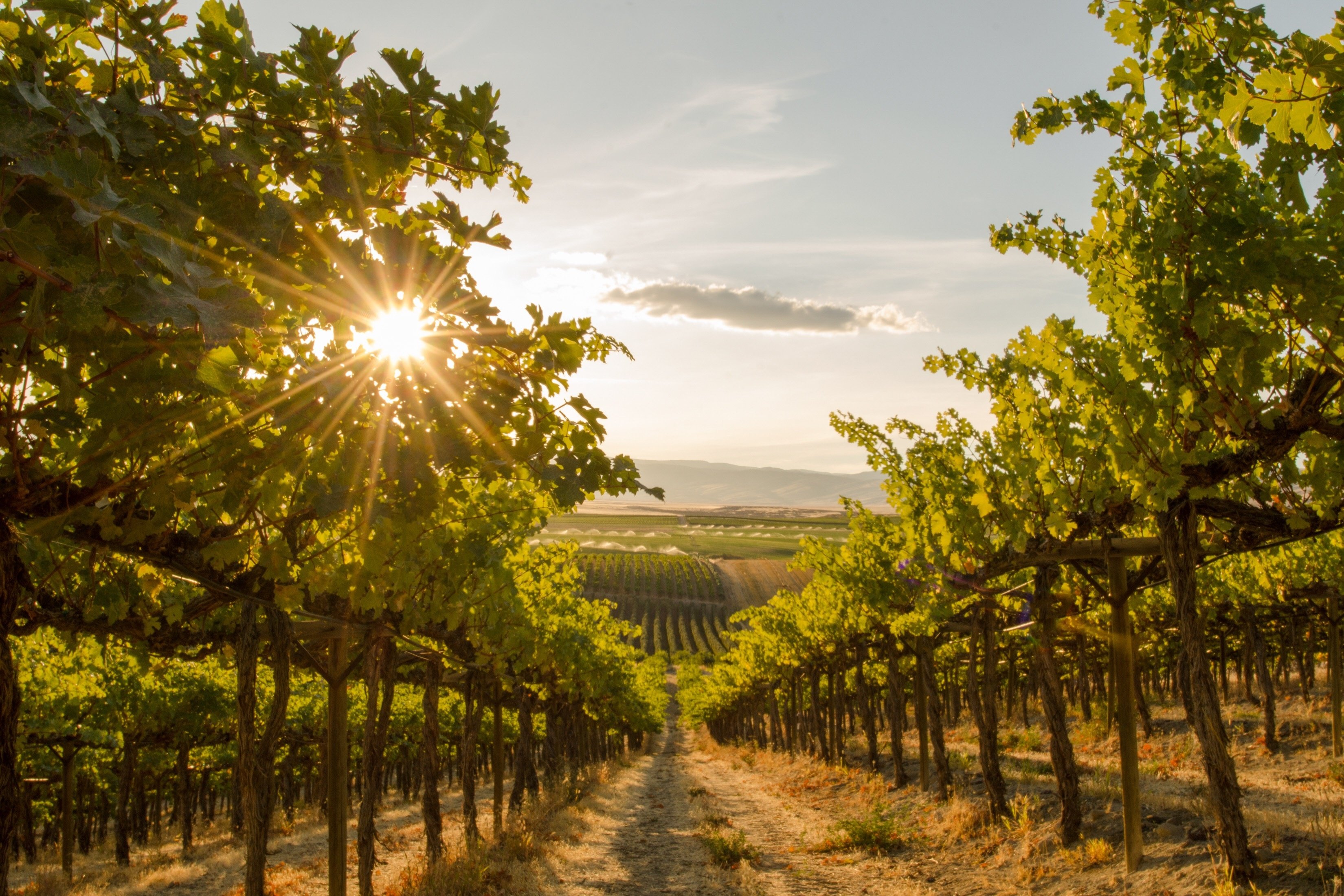 Agricultural Appraisal