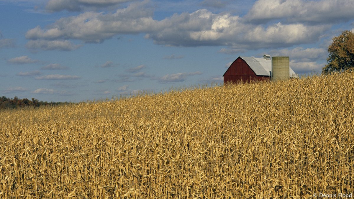 From Data to Decisions: Planning the 2026 Crop Season Starts Now