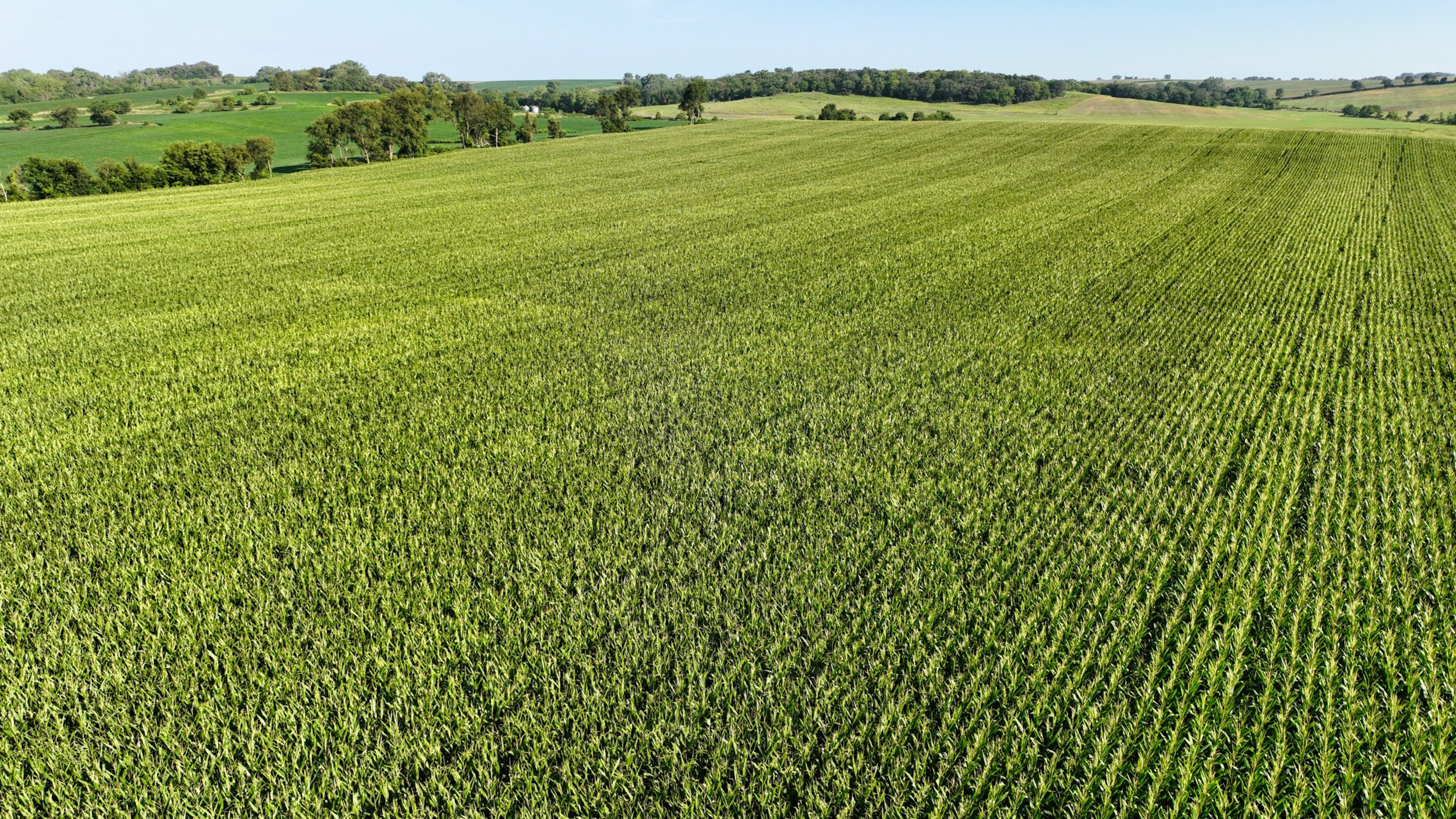 A Seven-Step Professional Approach to Selling Farmland