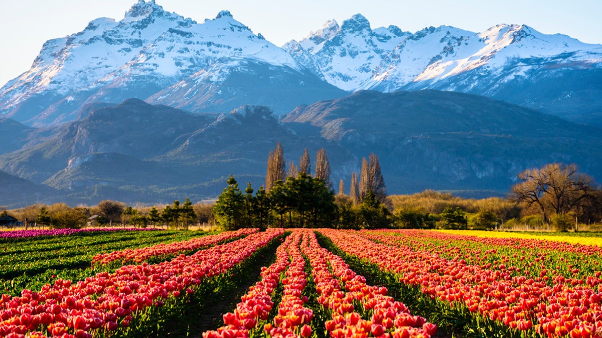 Argentina: U.S. Partnership Opportunities in Agriculture, Energy & Fertilizer