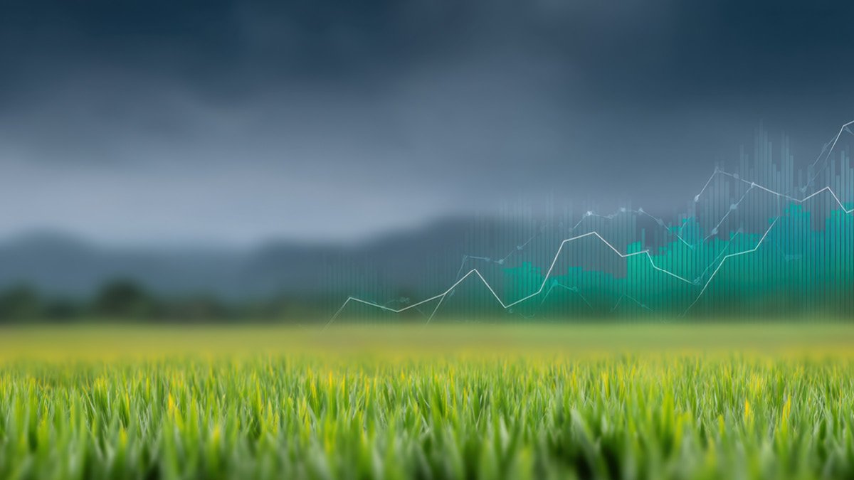 Why Crypto Investors Should Be Turning to Farmland as a Stable Alternative Asset