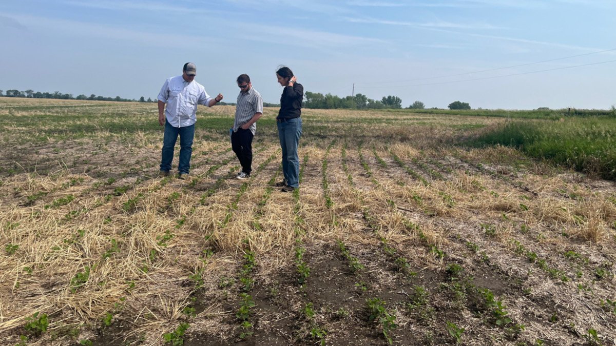 Benefits of Hiring a Professional Land Manager