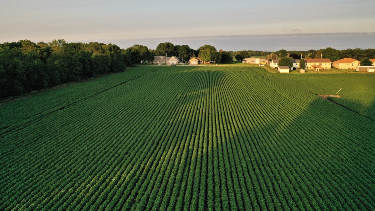 Transitional Farmland: Investing in Land in the Path of Growth