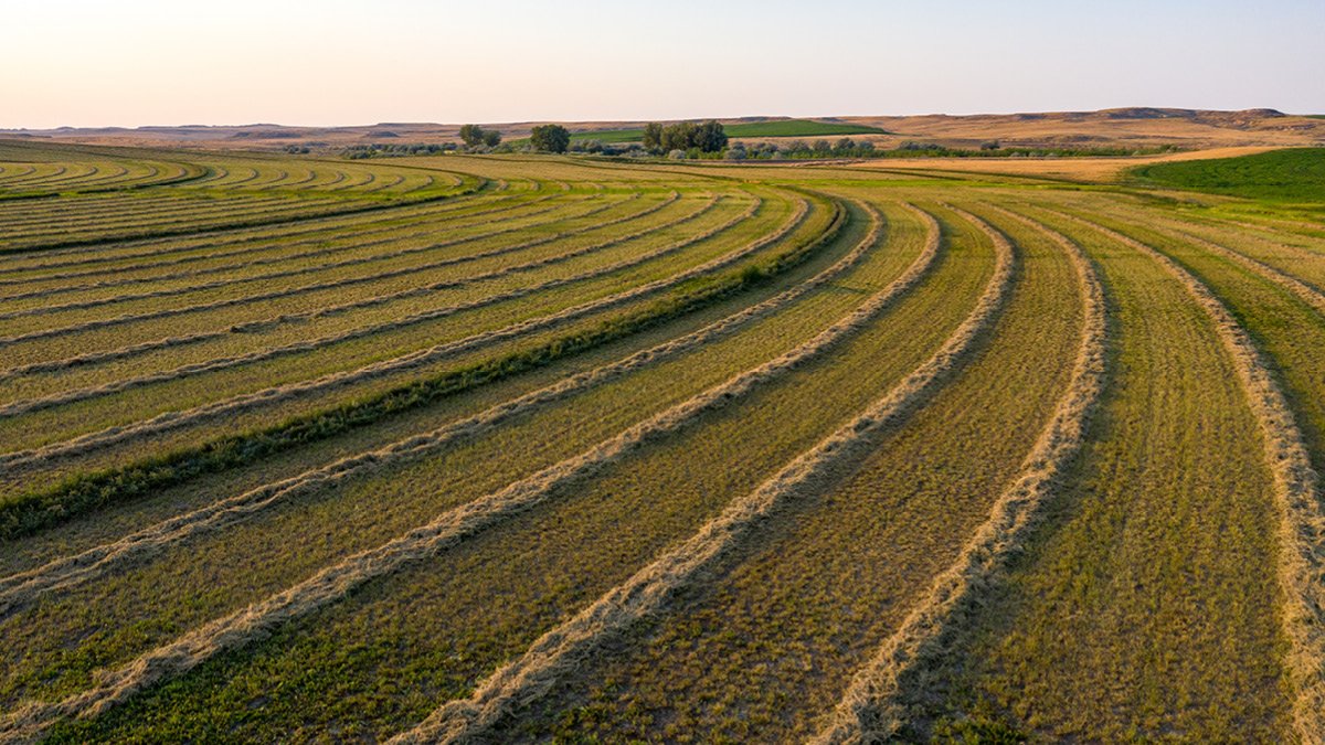 The Life Cycle of a Farmland Appraisal | Understanding How Appraisers Determine Land Value