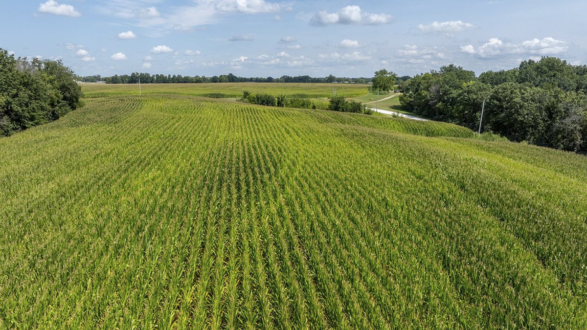 Common Myths About Farmland Value in Missouri