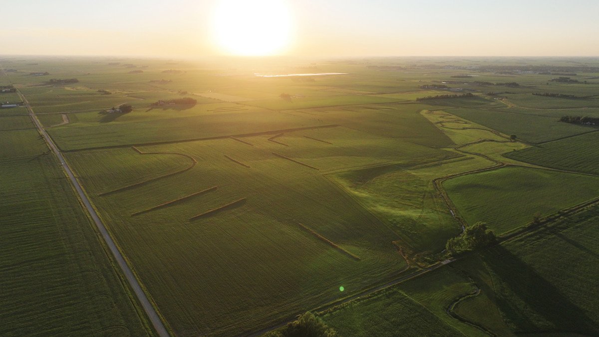 Sale-Leasebacks: Unlocking Working Capital for Farm Operations
