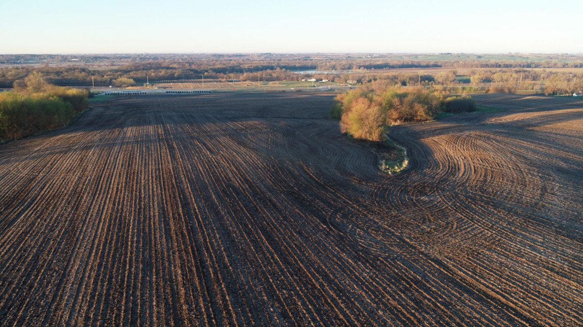 Appraising Agricultural Land in Transitional Markets