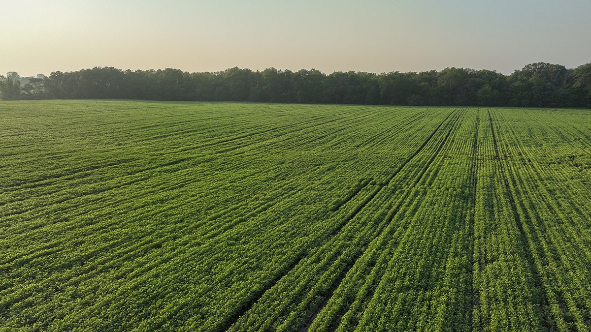 Farmland Value: How to Know What Your Land is Worth
