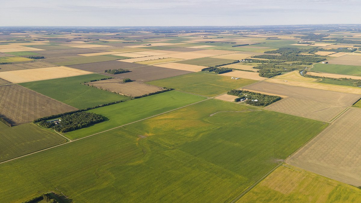 Farmland Investing: A Stable Alternative to Volatile Tech Stocks