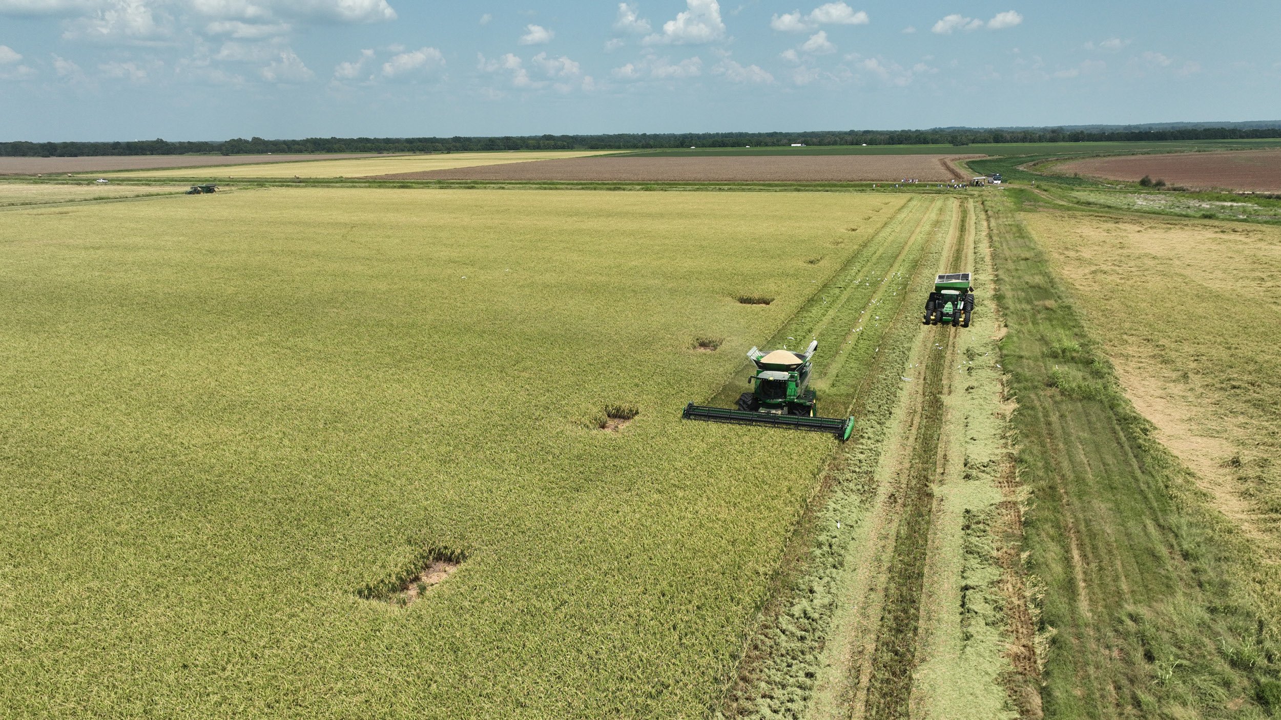 2025 Delta Agricultural Outlook: Insights for Landowners