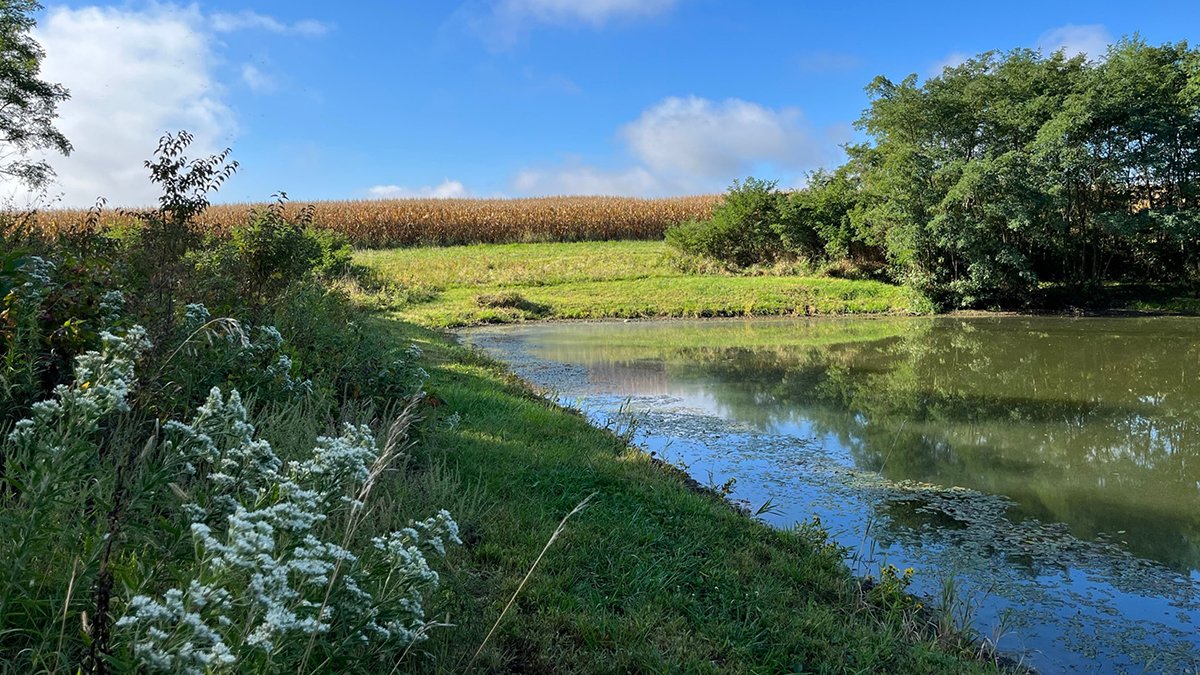 The Balancing Act: Landowner and Farmer Goals on Rented Land