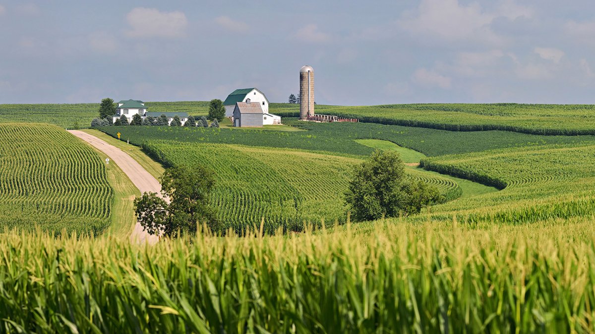 How Government Policies May Impact Midwest Farmland Values