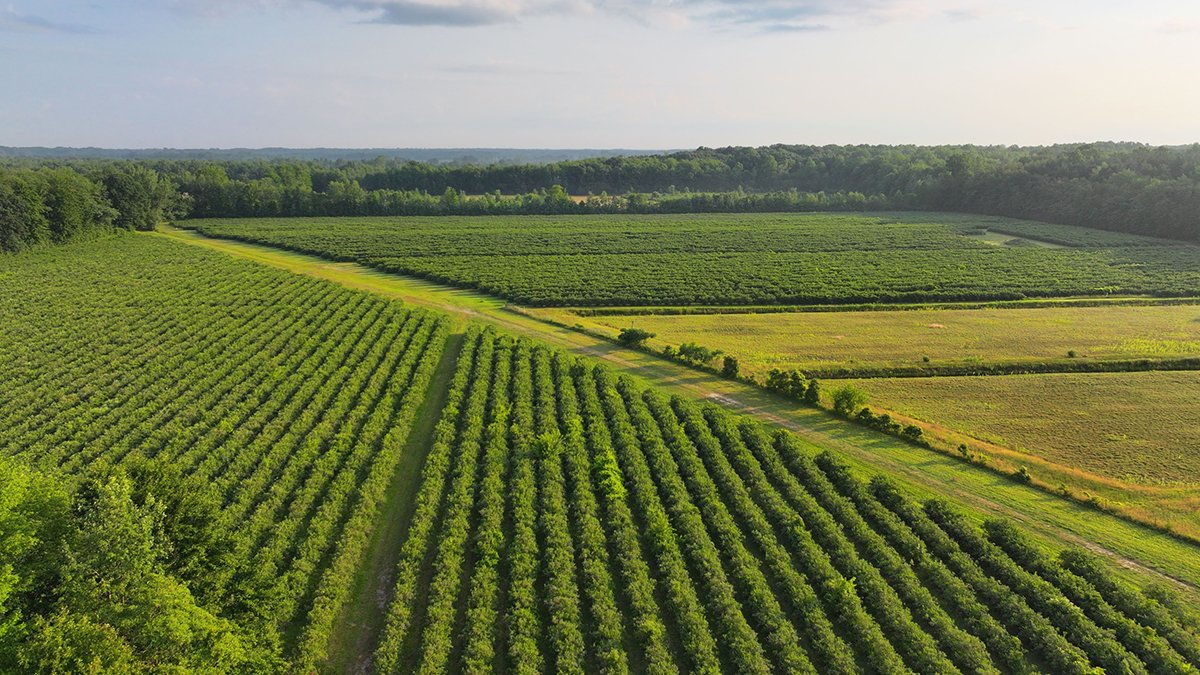 Michigan’s Agricultural Diversity