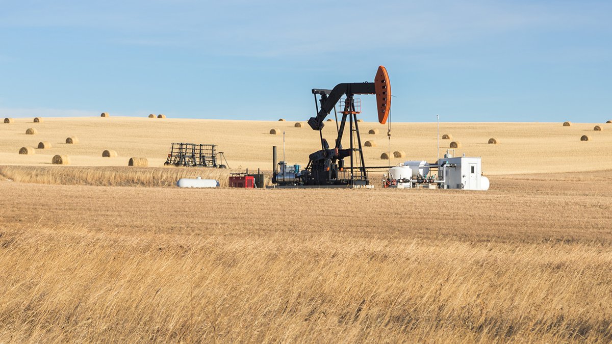 Mineral Rights vs. Surface Rights: What's the Difference and Why it Matters