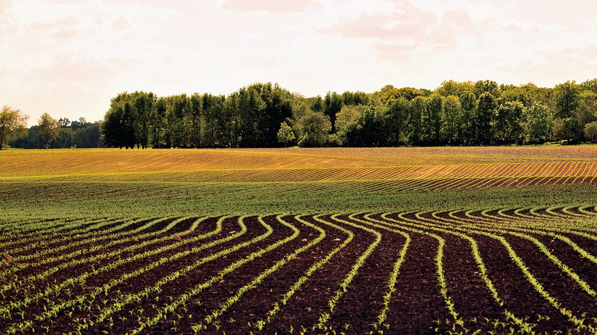 Spring Planting and Crop Insurance in Iowa: Key Dates You Need to Know