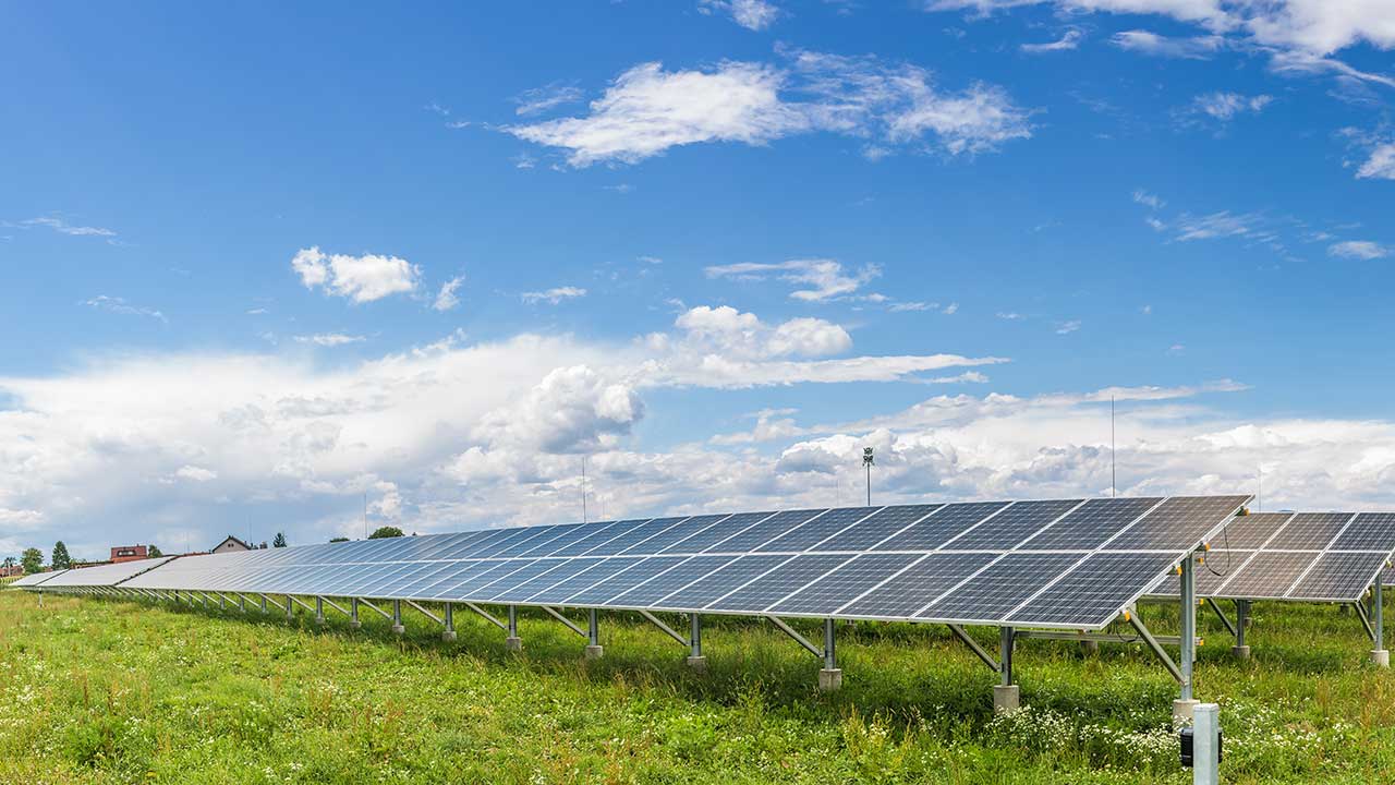 Maximizing Farmland Value: Solar Lease or Let it Grow?