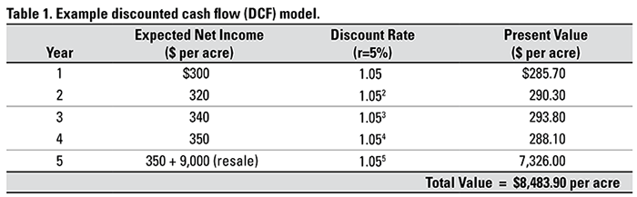 Example discounted cash flow (DCF) model.