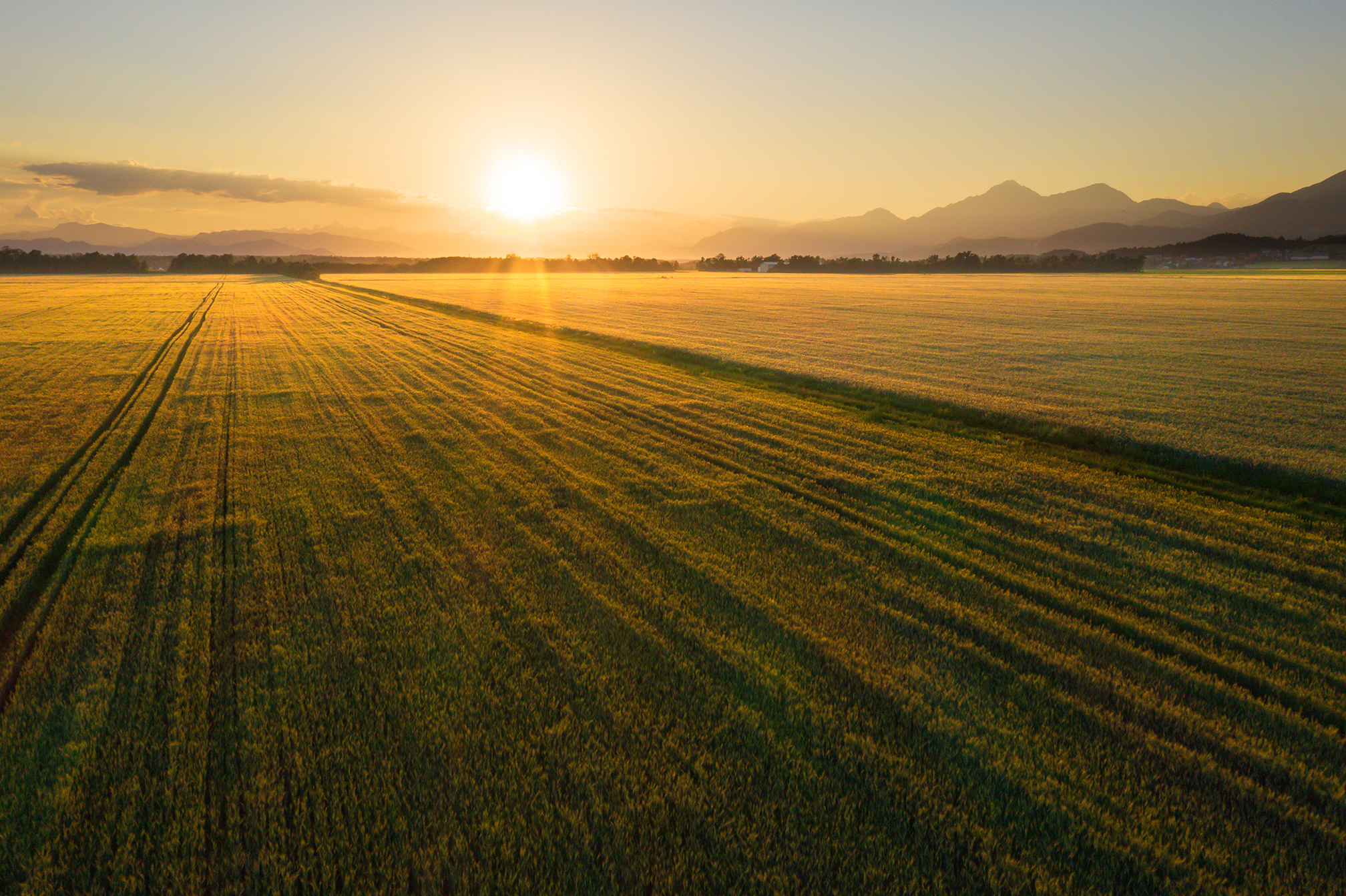 Creating Value For Landowners