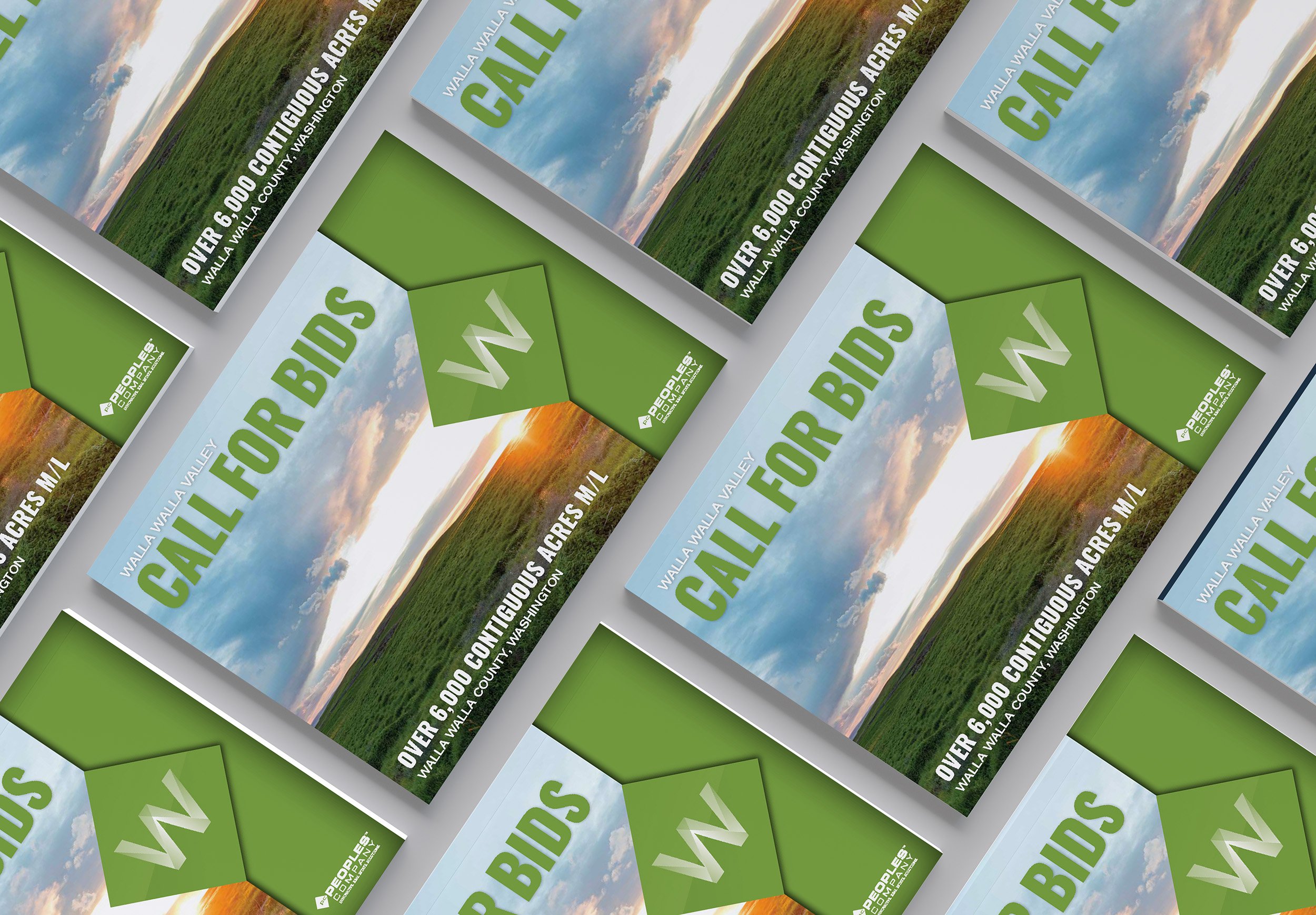 Marketing Campaigns-Weidert Farm