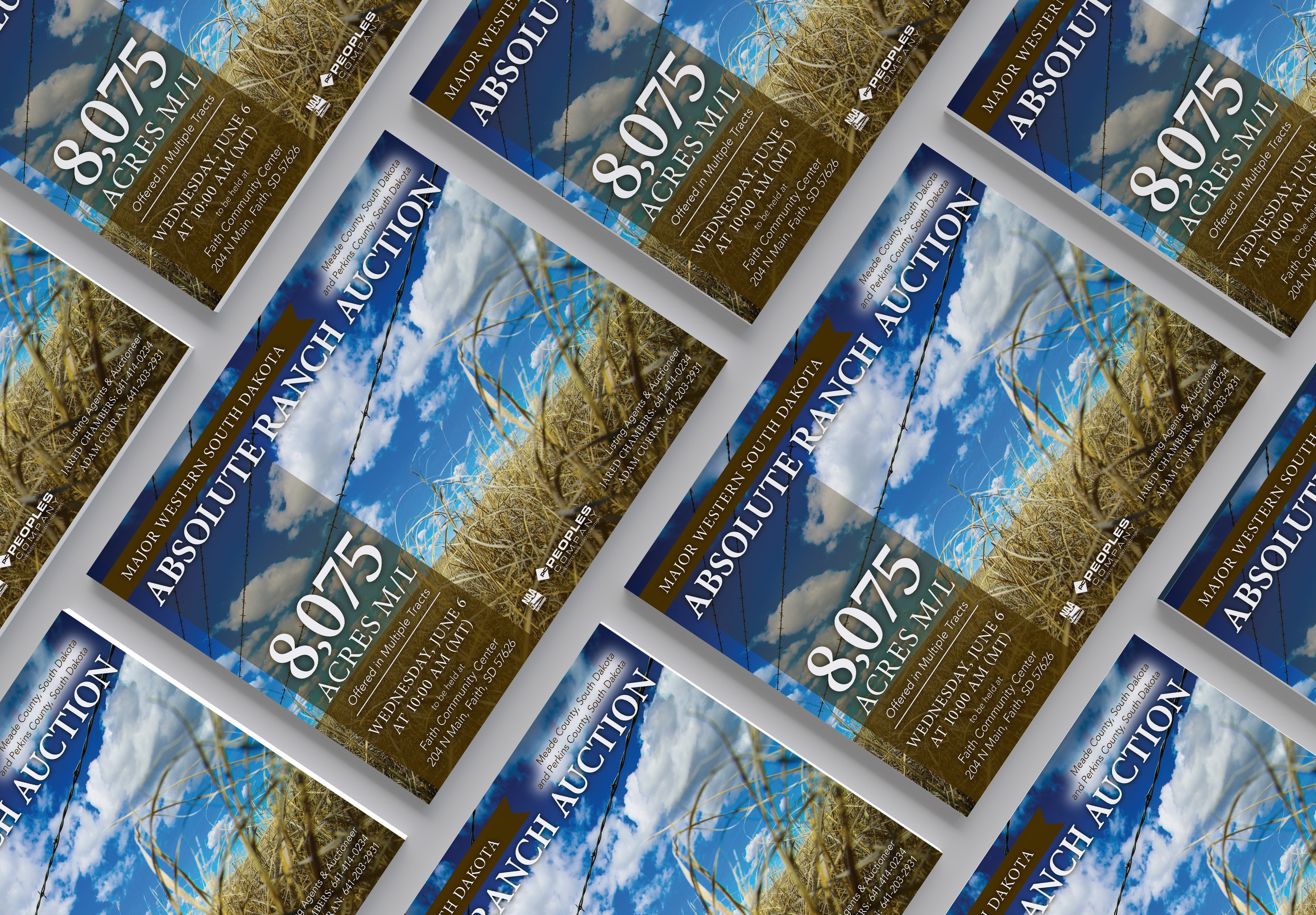 Marketing Campaigns-Absolute Ranch Auction