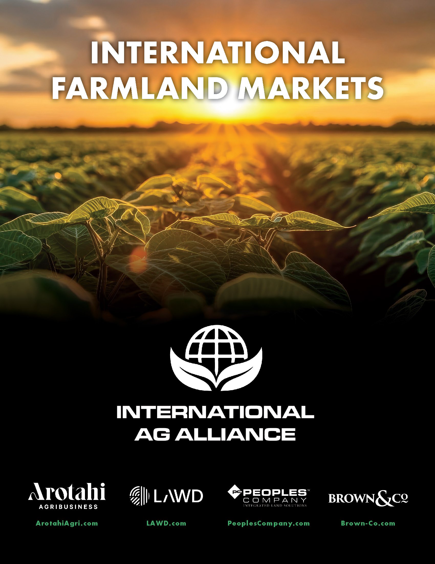 International Farmland Markets