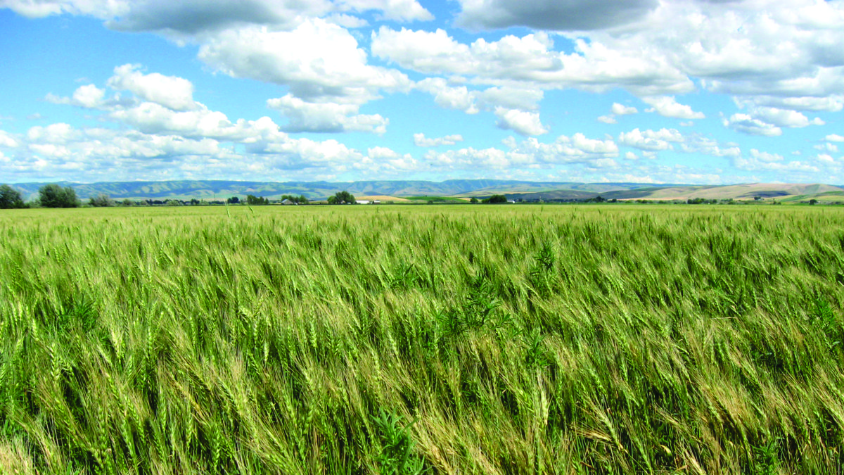 Land Management